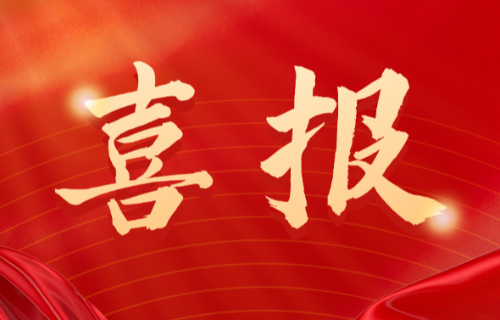 喜報(bào)！遠(yuǎn)東電纜（宜賓）胡清平榮登2025年第一批擬認(rèn)定主導(dǎo)產(chǎn)業(yè)企業(yè)人才名單